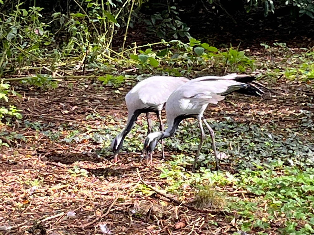 23-09-22 11-52-13 7246